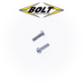 Phillips Carburetor Screws