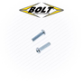 Phillips Carburetor Screws