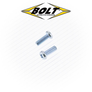 Phillips Carburetor Screws