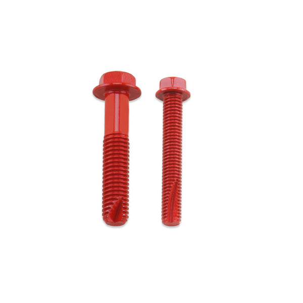 Thread Chasers Bolt Motorcycle Hardware