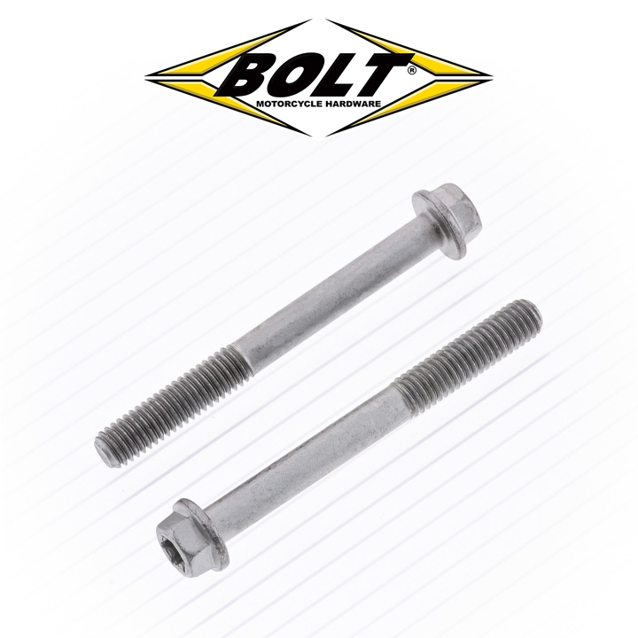 M6 Euro Style Torx Flange Bolts – Bolt Motorcycle Hardware